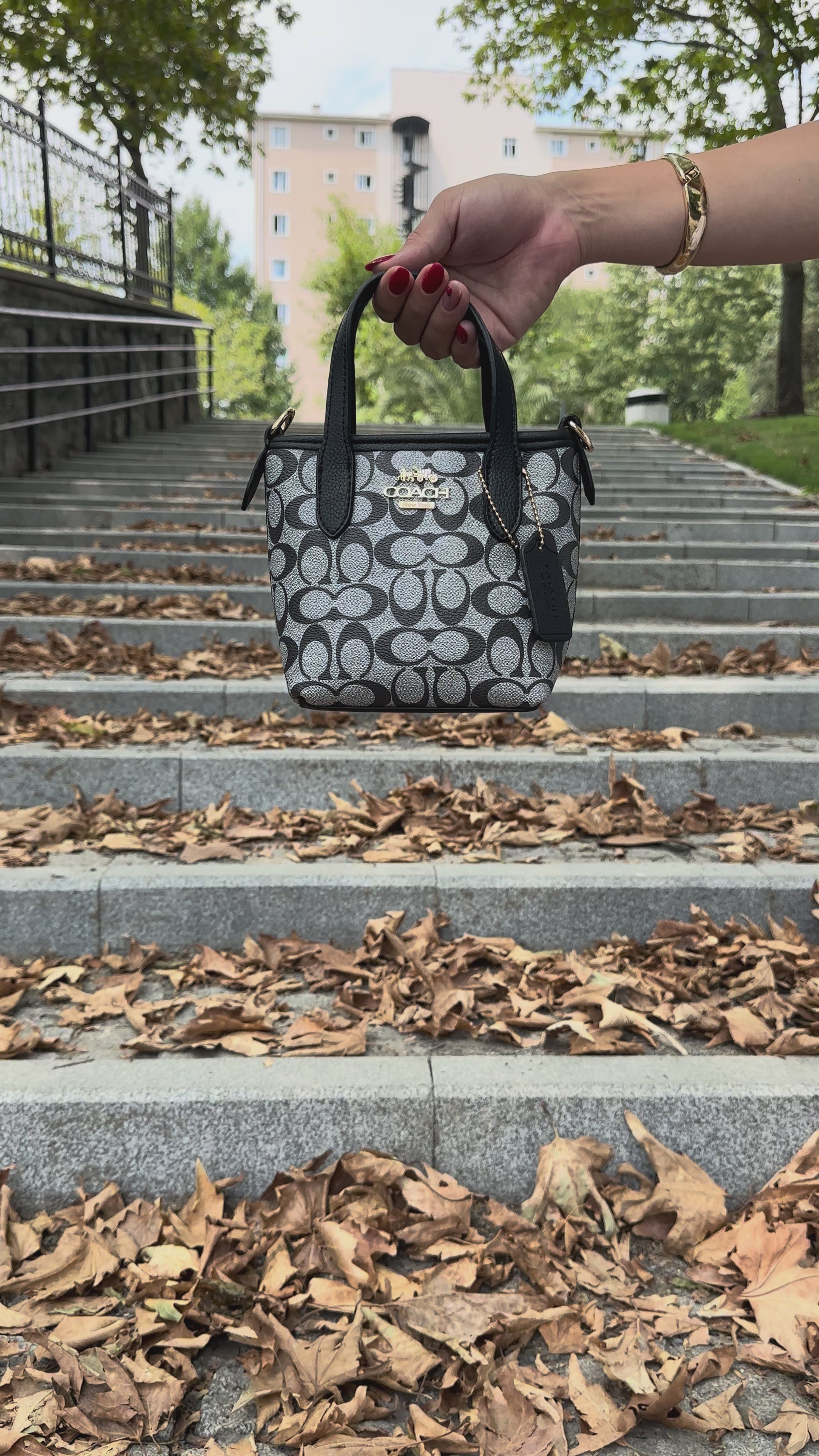 CCH City Mini Tote Bag